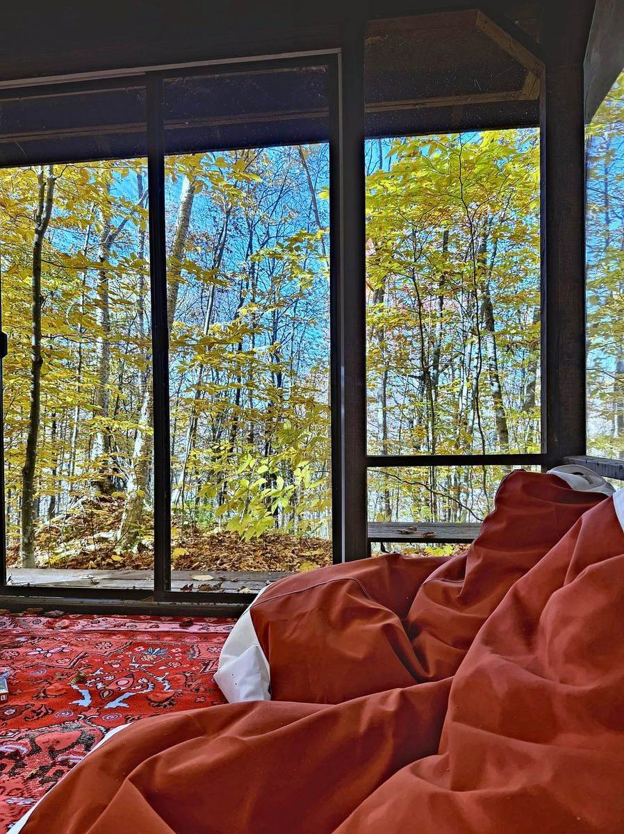 Le salon d’extérieur : deux grands poufs orange sur un tapis rouge, face à la forêt dorée.