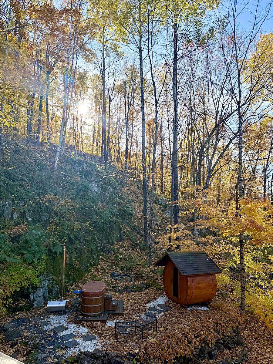 La lumière du matin dans la forêt, le sauna en contrebas.