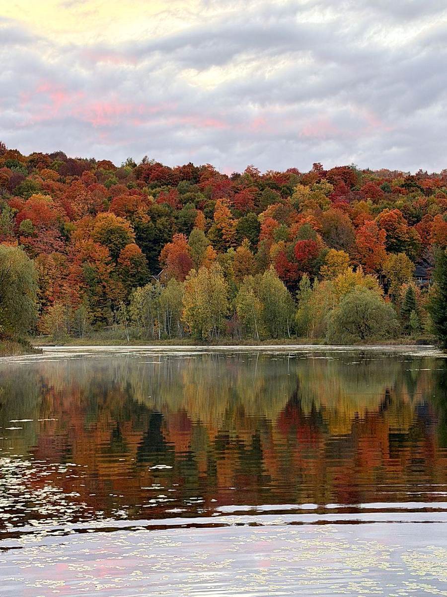 Le lac et la forêt en couleurs d’automne.