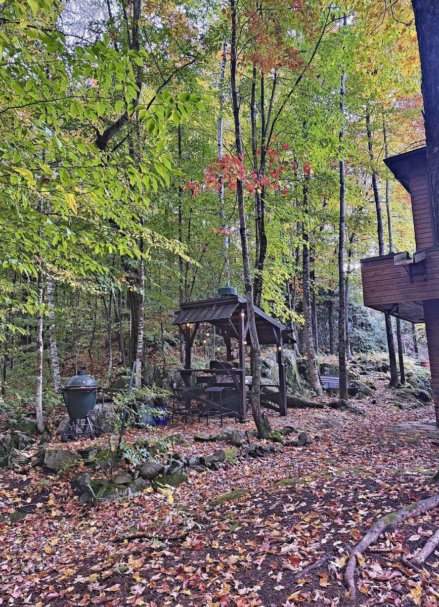 Le sentier dans la forêt encore verte.