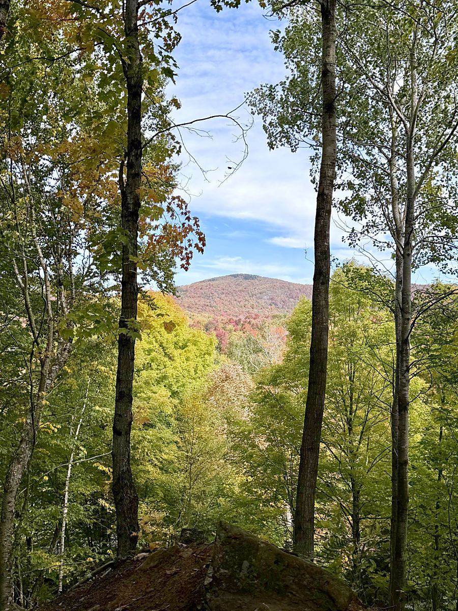 Vue sur la montagne en automne entre les troncs.